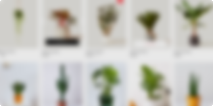 Microgreen